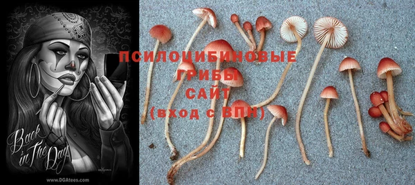 герыч Покровск