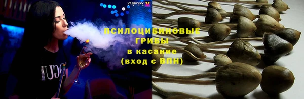 дурь Покров