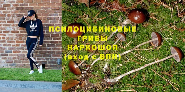 дурь Покров