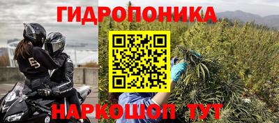 дмт Гай