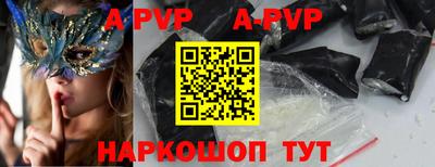 спиды Гатчина
