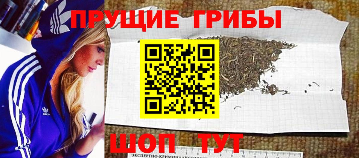 Галлюциногенные грибы прущие грибы Баксан