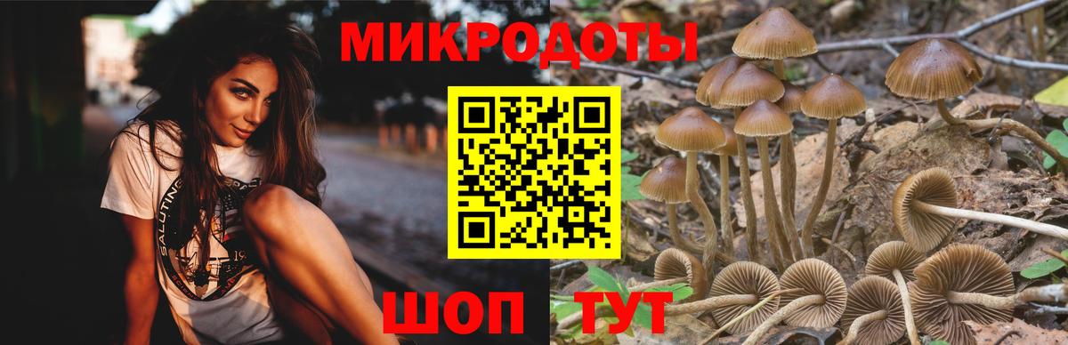 сколько стоит  Псилоцибиновые грибы мицелий  Вход с VPN  Баксан 